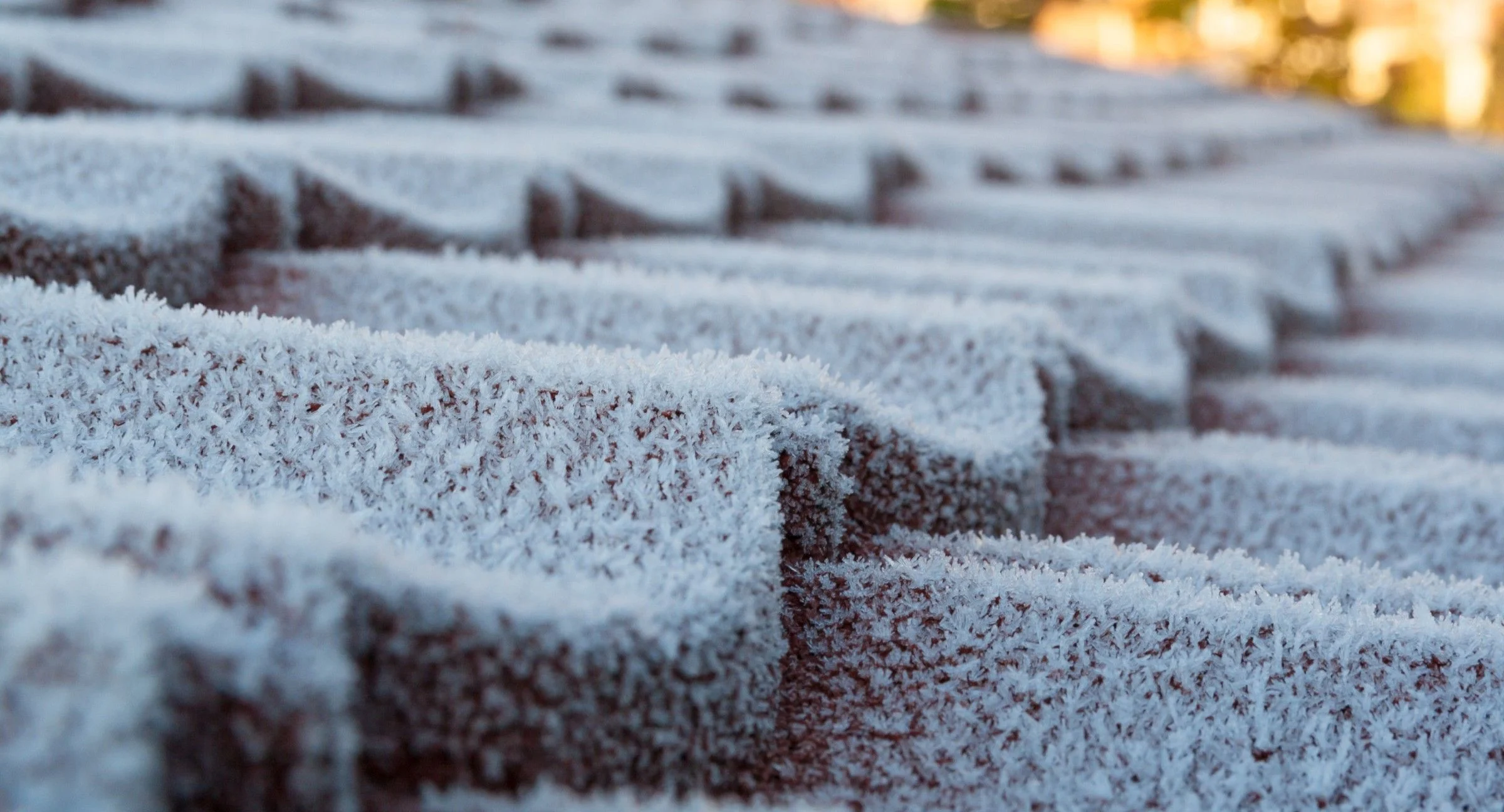 preparing your roof for winter in San Diego